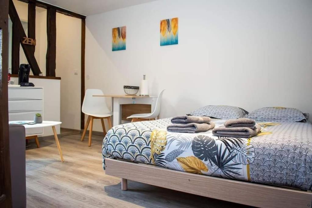 Studio Charmant Confortable Tv Centre Ville لوفييه المظهر الخارجي الصورة