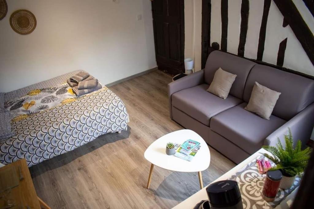 Studio Charmant Confortable Tv Centre Ville لوفييه المظهر الخارجي الصورة