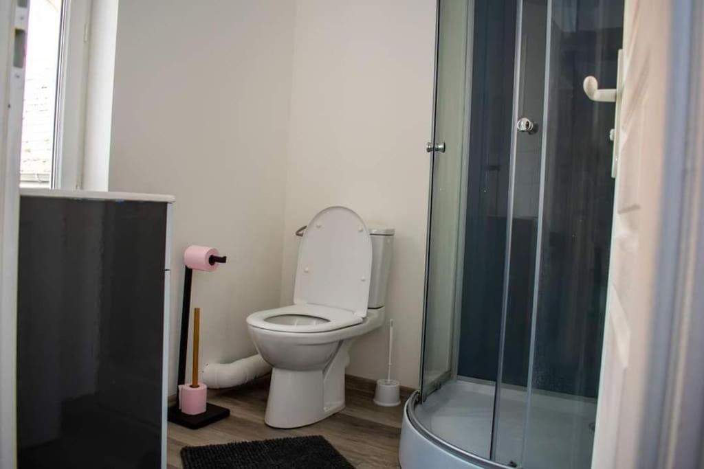 Studio Charmant Confortable Tv Centre Ville لوفييه المظهر الخارجي الصورة